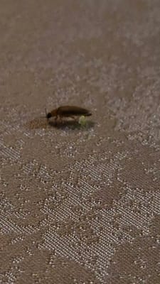 20250107_193926.mp4