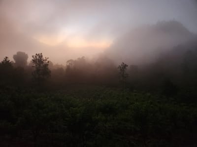 20250108_055719.jpg