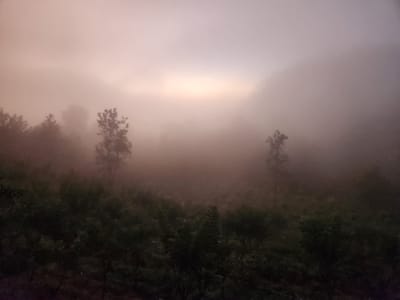 20250108_060037.jpg