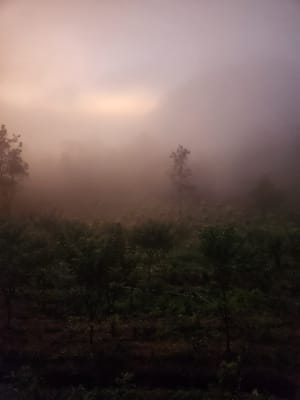 20250108_060046.jpg