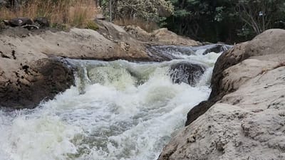 20250213_101106.mp4