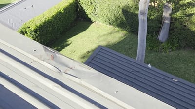 20250712_102225.mp4