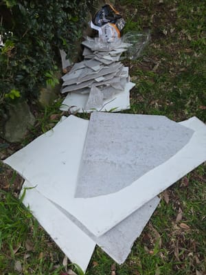 20250712_165616.jpg
