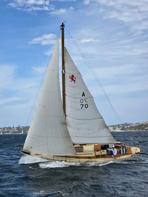 20251115_151503.jpg