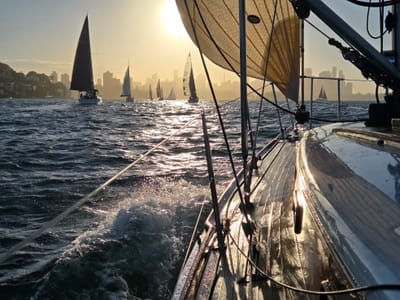 20251119_185131.jpg