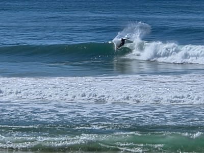 IMG-20250508-WA0005.jpg