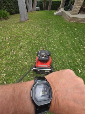 20251009_131024.jpg