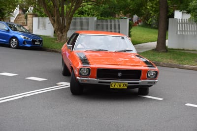 DSC_0449.JPG