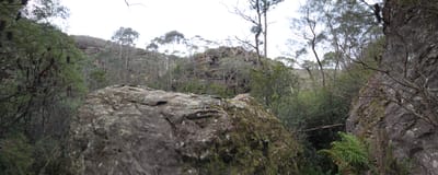 20260716_095021.jpg