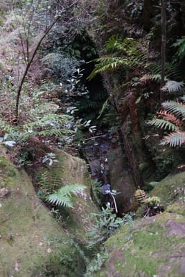 DSCF0348.JPG