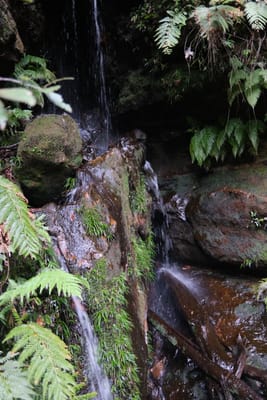 DSCF0349.JPG