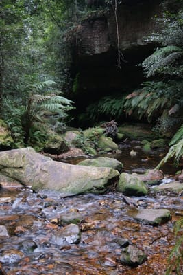 DSCF0351.JPG