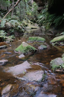 DSCF0353.JPG