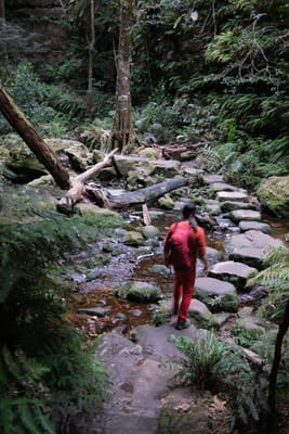 DSCF0355.JPG
