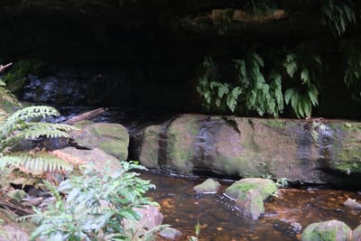 DSCF0359.JPG