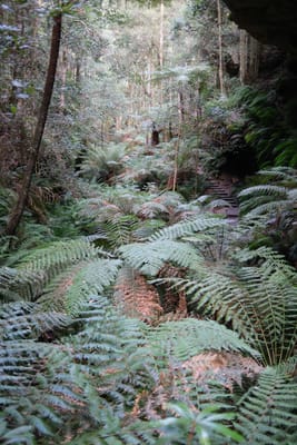 DSCF0363.JPG