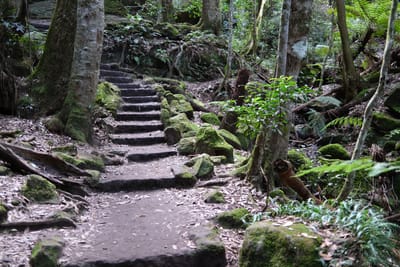 DSCF0364.JPG