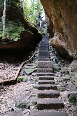 DSCF0366.JPG