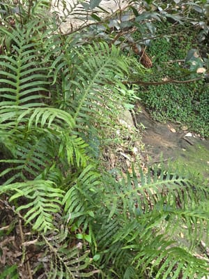 20260317_102529.jpg