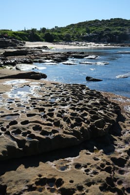 DSCF0309.JPG