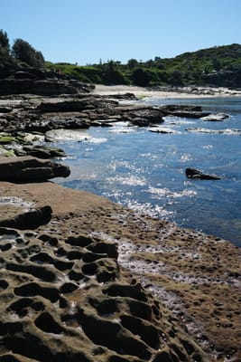 DSCF0311.JPG