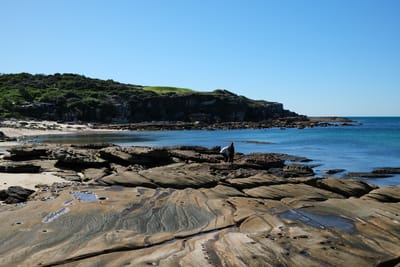 DSCF0314.JPG