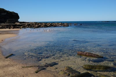 DSCF0317.JPG