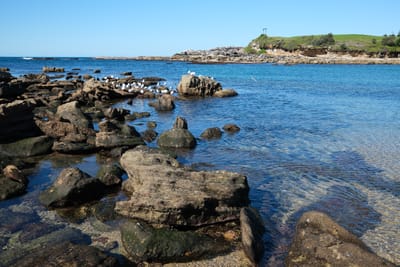 DSCF0318.JPG