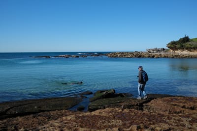 DSCF0330.JPG