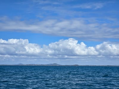 20260824_132023.jpg