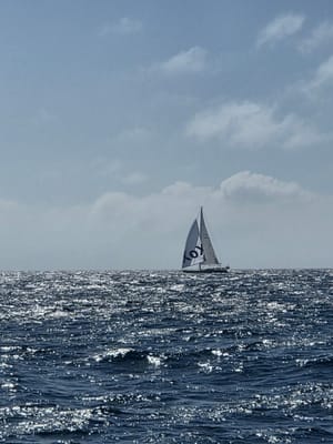 20260825_095347.jpg
