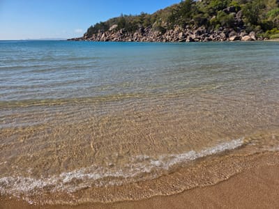 20260826_091301.jpg