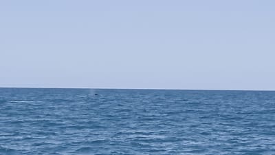 20260903_133730.mp4
