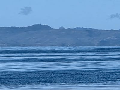 20260904_143537(0).jpg