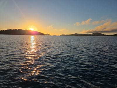 20260905_062826.jpg