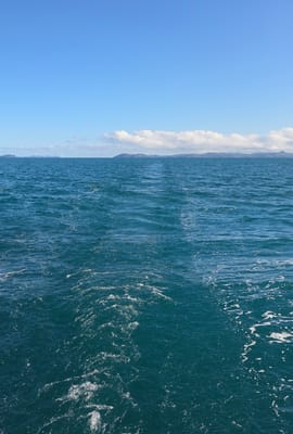 20260905_075036.jpg