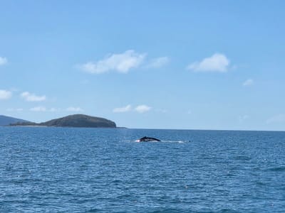 20260905_100148.jpg
