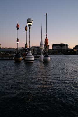 DSCF0181.JPG