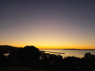 20260413_175024.jpg