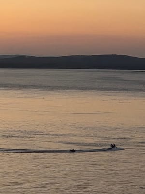 20260415_174353.jpg