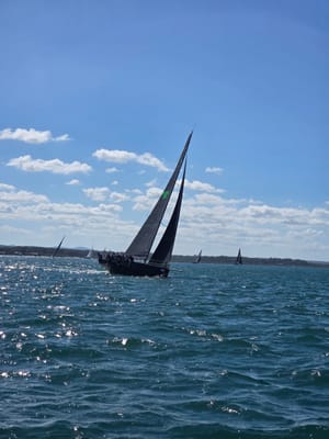 20260418_115447.jpg