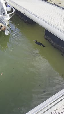 20260319_164205.mp4