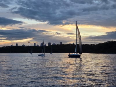 20260319_190438.jpg