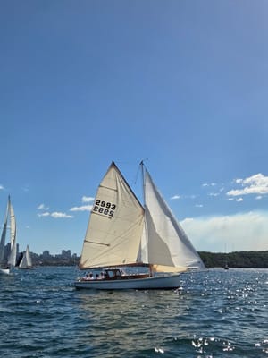 20260411_124551.jpg