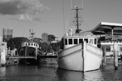 DSCF0126.JPG