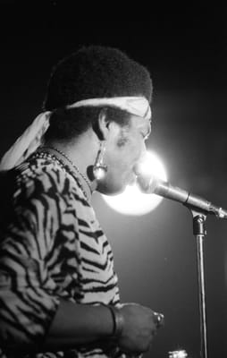 c1984_527.jpg