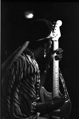 c1984_542.jpg