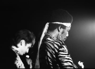 c1984_546.jpg