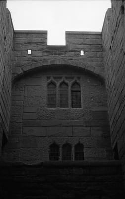 1985_447.jpg