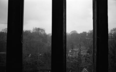 1985_477.jpg